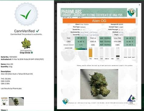 cannverify scanner.